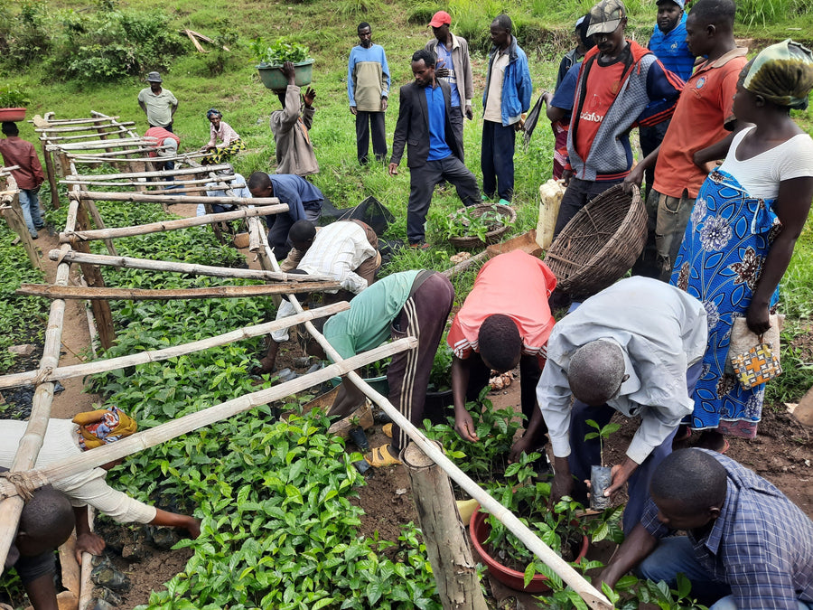 Rwanda: Where resilience meets radiance