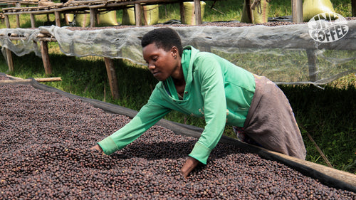 Mugano Lot 2 · Gitega Province