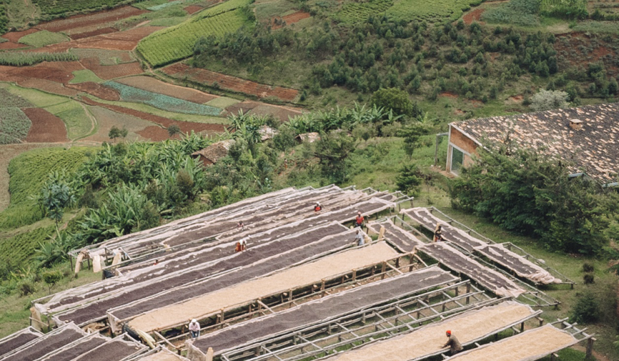 Burundi: The quiet brightness at the heart of Africa