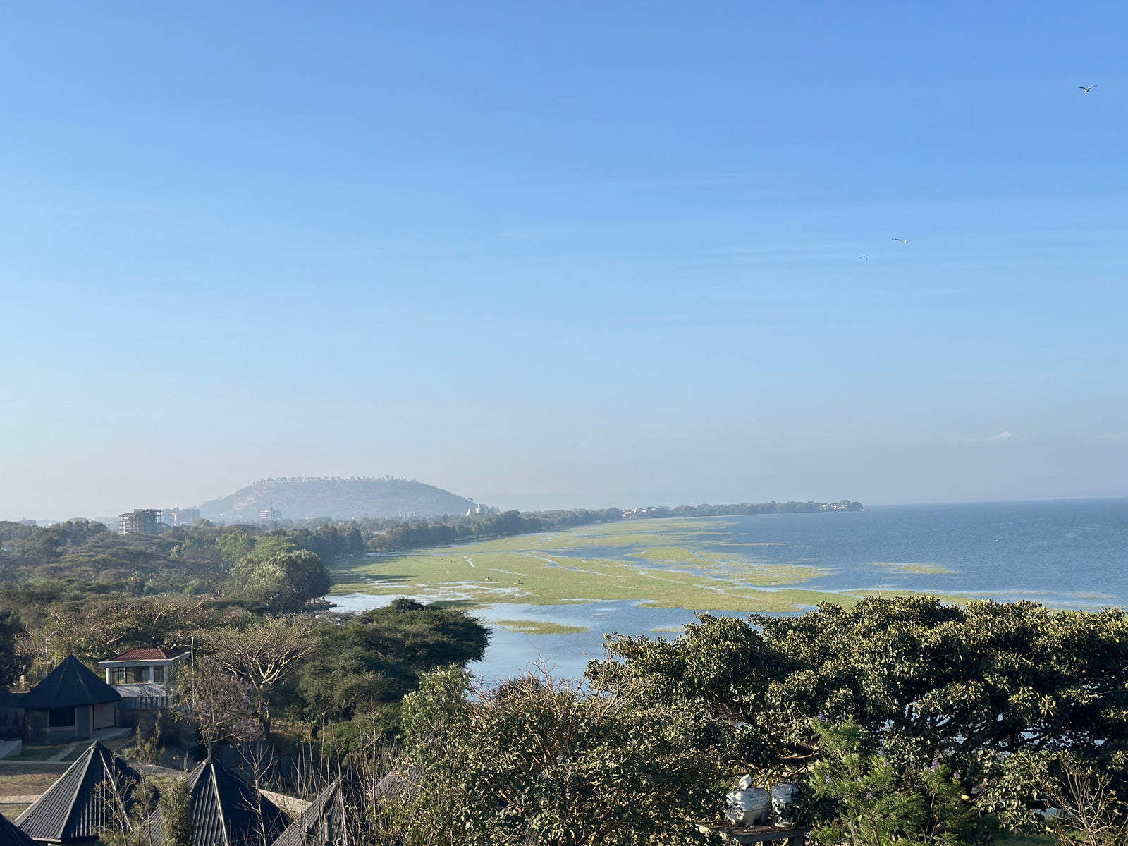 Ethiopia: Where coffee remembers its first morning