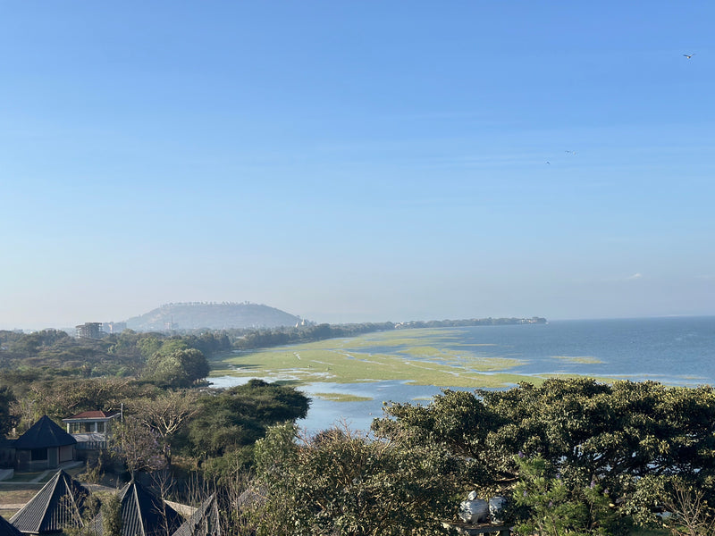 Ethiopia: Where coffee remembers its first morning