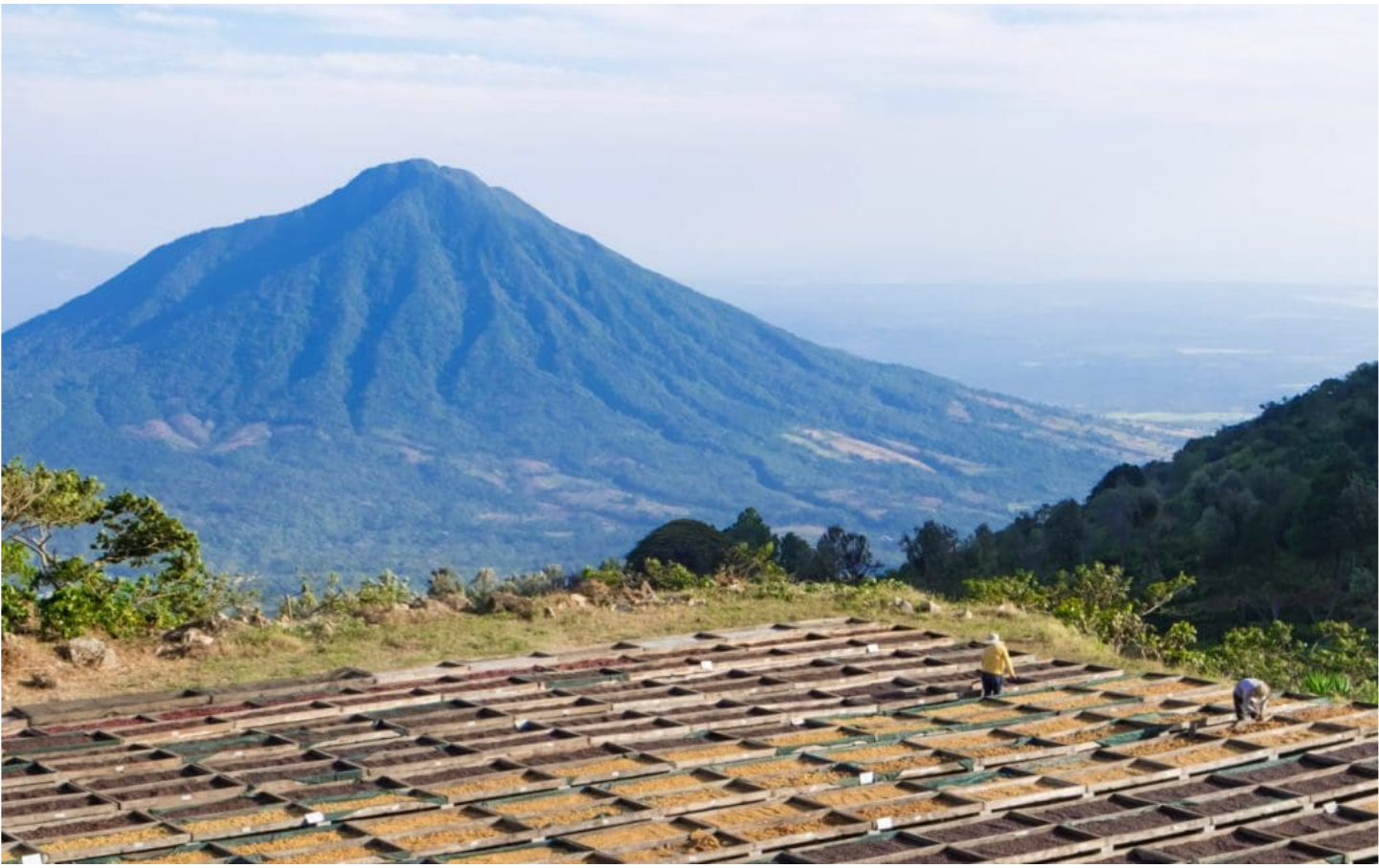 El Salvador Coffee Origins