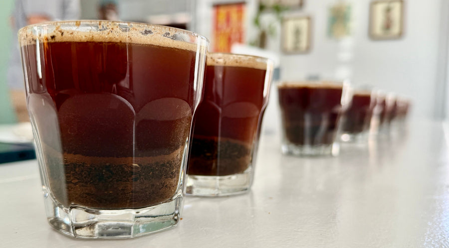 How Q Graders shape the coffee in your cup