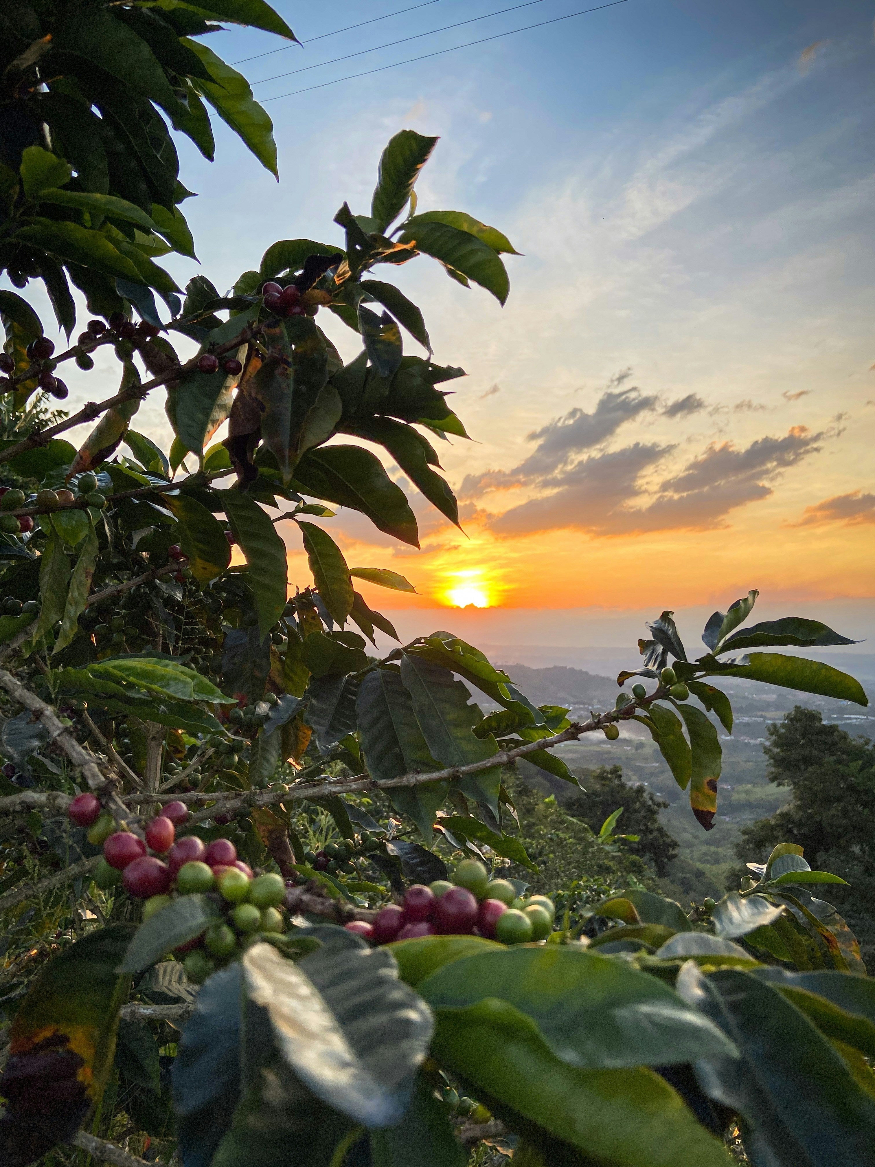 Colombia: Where coffee learned to balance