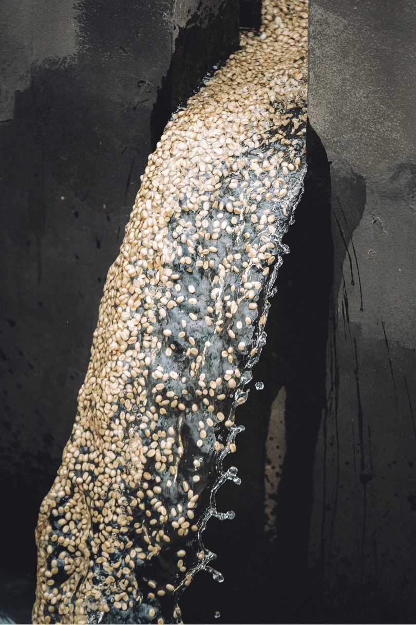 What is anaerobic coffee processing? Think winemaking, but with coffee.