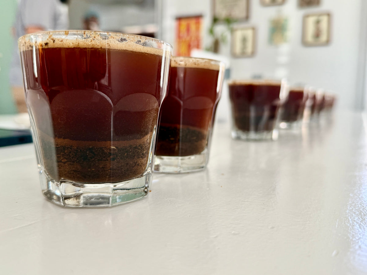 Cupping glasses lined up on a Q-Grader's table