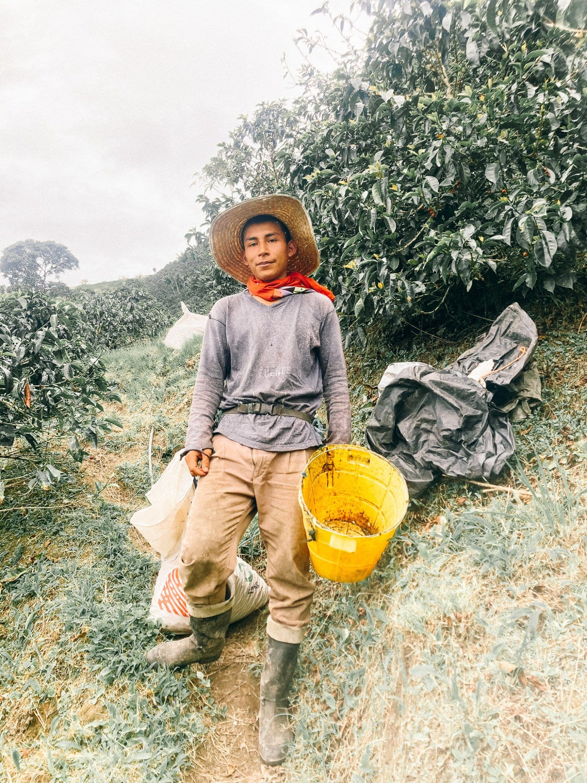 A coffee producer at origin