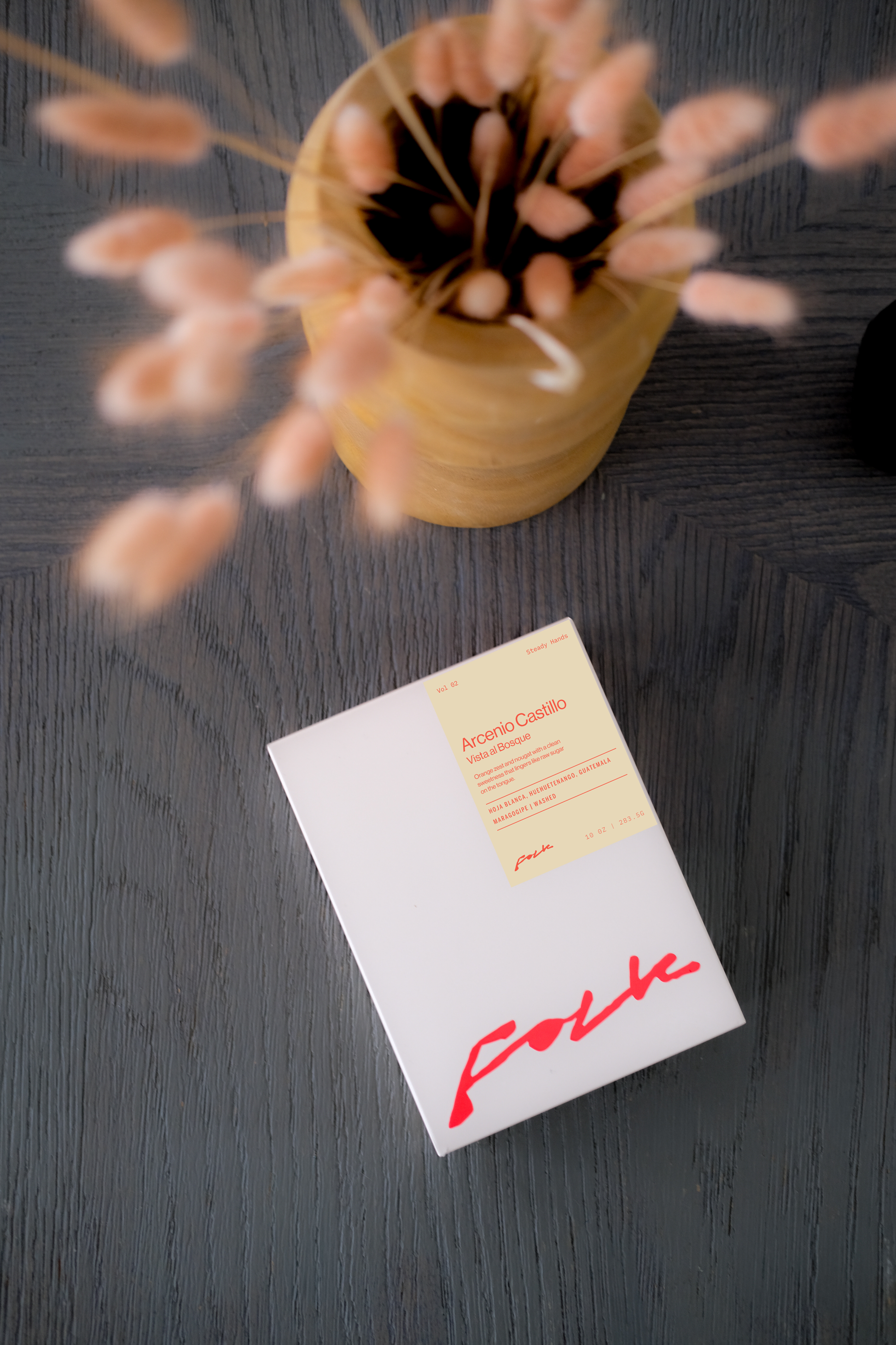 Arcenio Castillo / Vista al Bosque